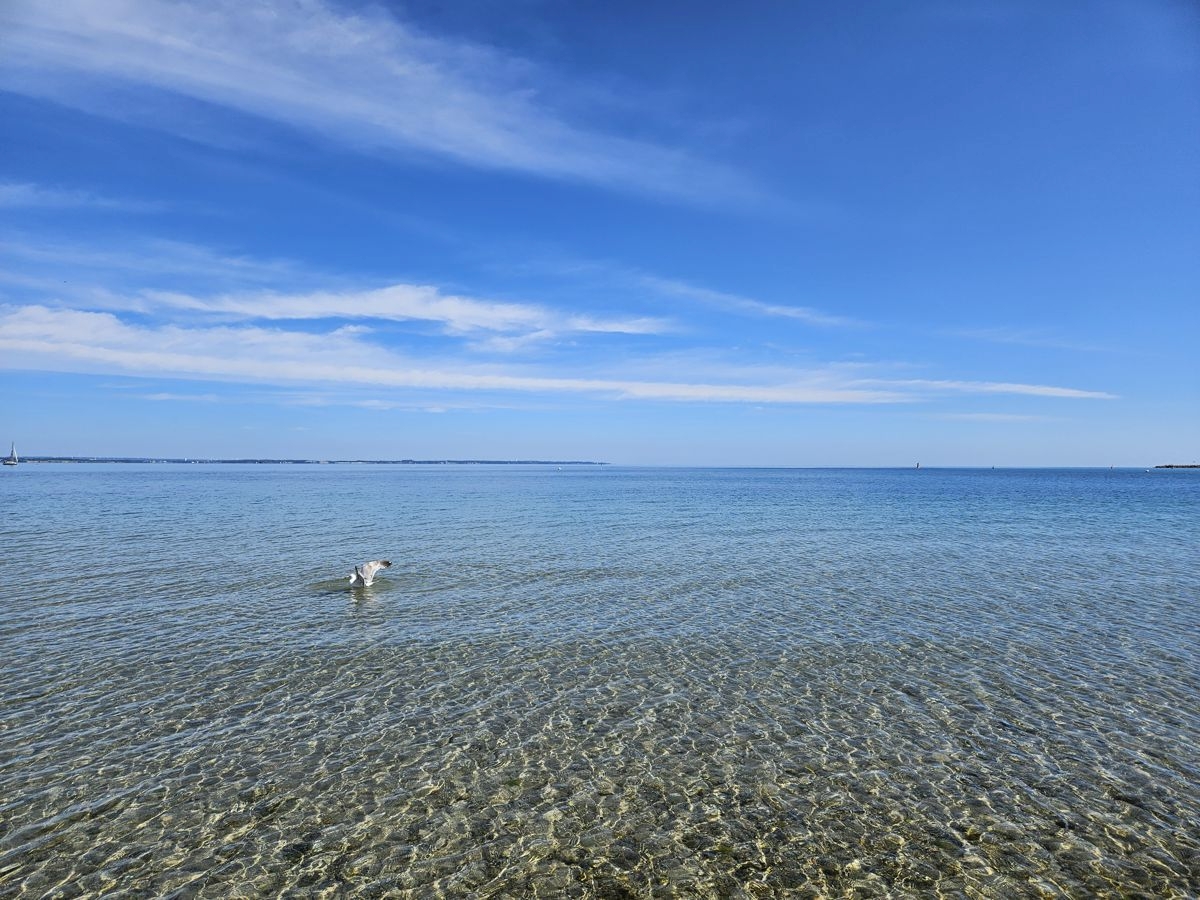 Ostsee im Juni 2024 - klares Wasser und blauer Himmel