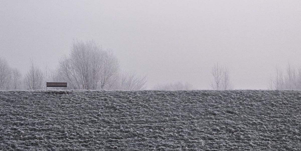 Bank auf Deich im Nebel