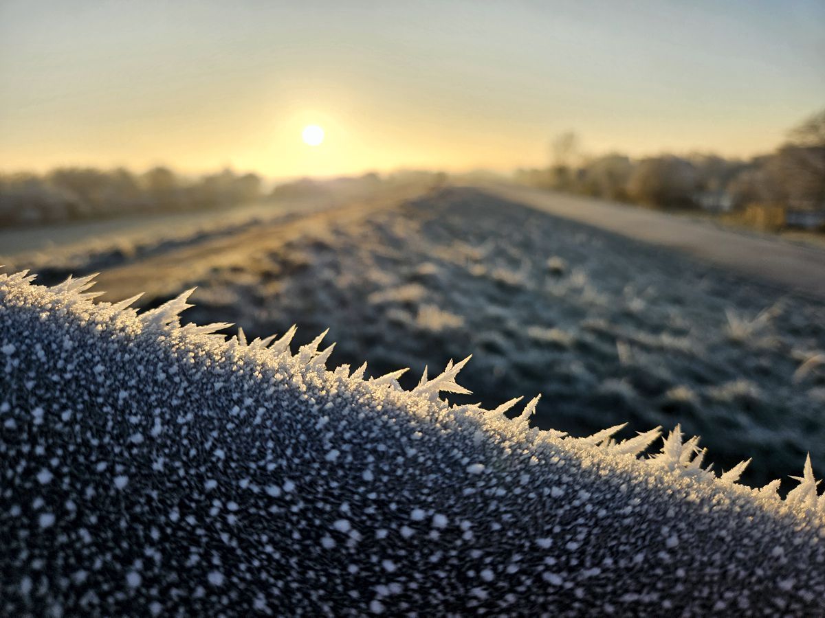 Elbdeich - gefrorener Nebel im Sonnenaufgang