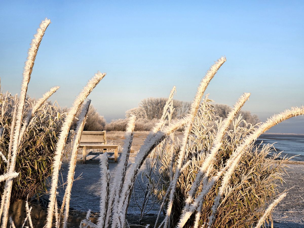 Elbstrand - gefrorener Nebel im Sonnenschein