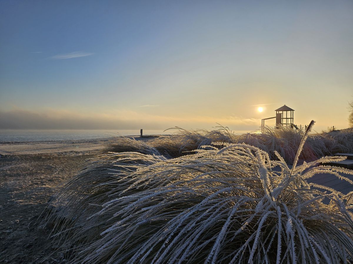 Elbstrand - gefrorener Nebel im Sonnenschein